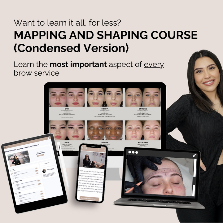 The Browfectionists - Mapping and Shaping Course - Condensed Version