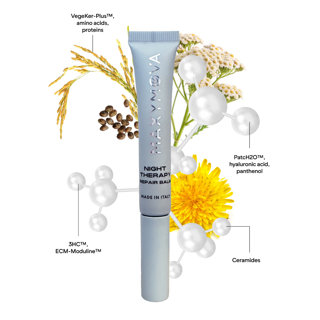 Maxymova - Night Therapy Repair Balm for Brows & Lashes