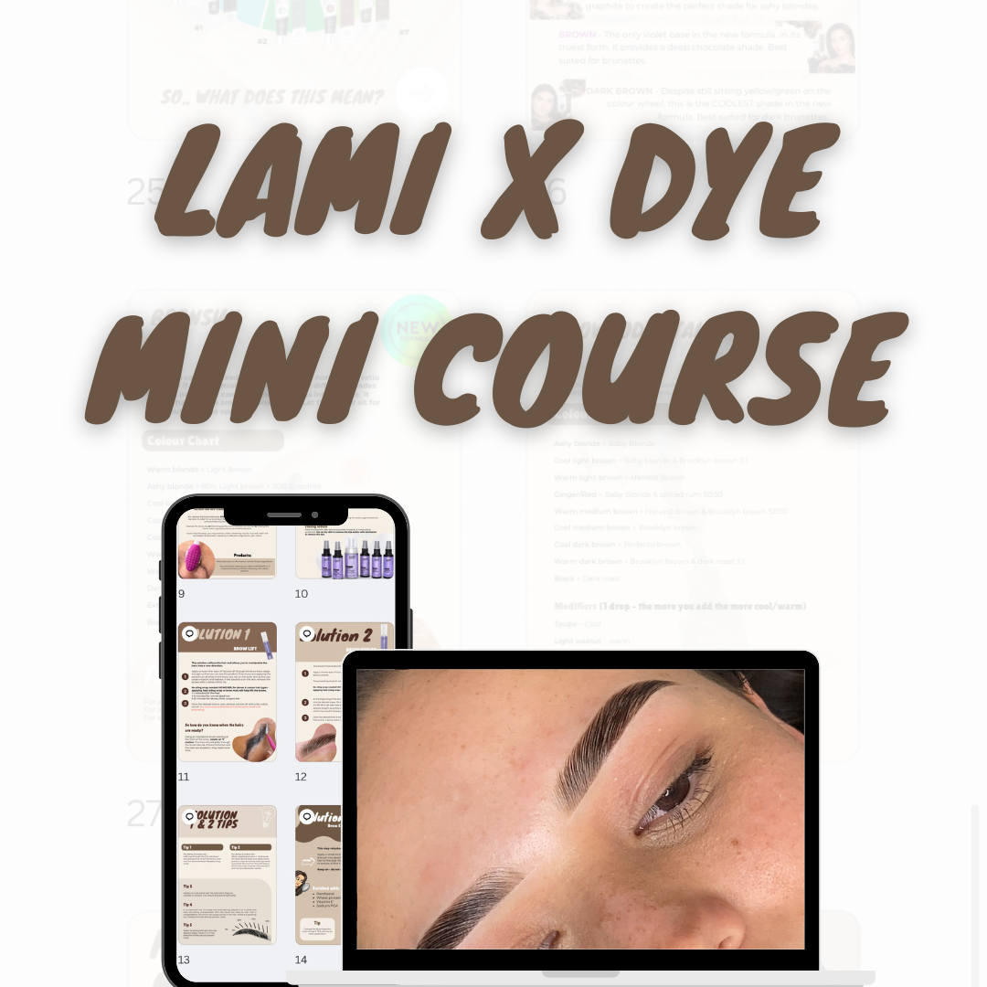 Brow'd Up - Lamination x Dye Mini Course