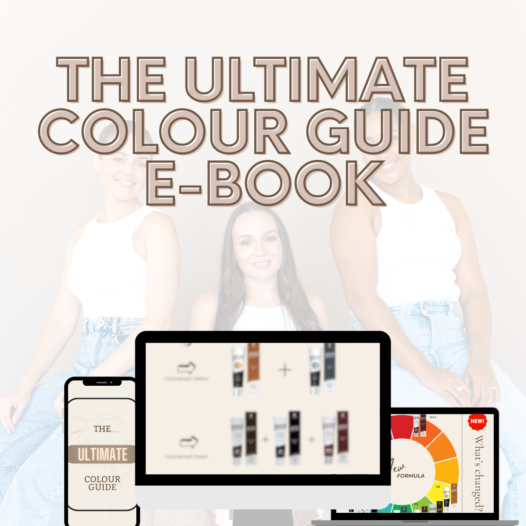Brow'd Up - The Ultimate Colour Guide E-Book Course